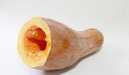 瓜瓜基地 吃瓜视频在线观看全集,吃瓜视频全集揭秘，笑料百出，精彩纷呈